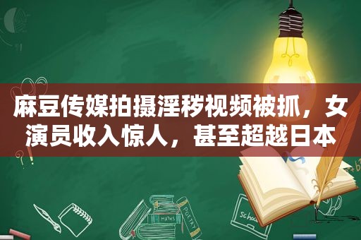  *** 传媒拍摄淫秽视频被抓，女演员收入惊人，甚至超越日本 *** ！