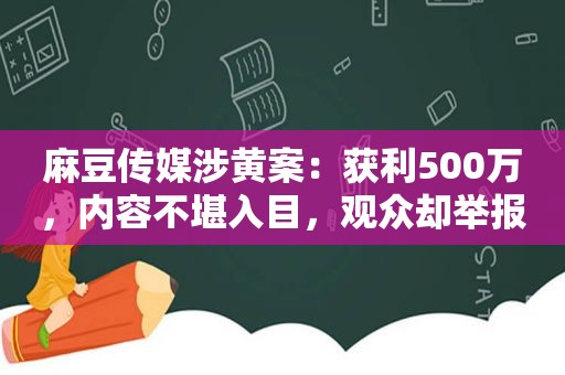  *** 传媒涉黄案：获利500万，内容不堪入目，观众却举报演的太烂