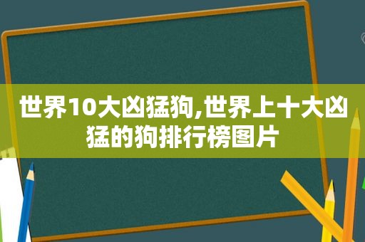 世界10大凶猛狗,世界上十大凶猛的狗排行榜图片