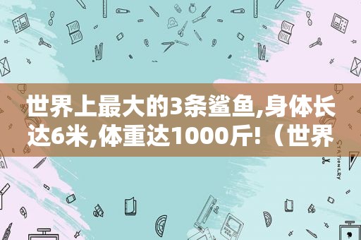 世界上最大的3条鲨鱼,身体长达6米,体重达1000斤!（世界上最大的鲨鱼,体长近10米,巨齿鲨可能都要躲着走）