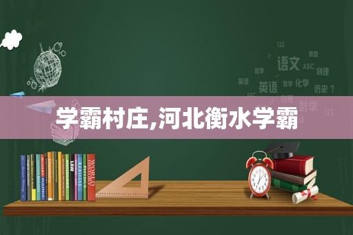 学霸村庄,河北衡水学霸