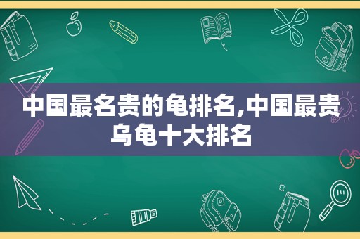 中国最名贵的龟排名,中国最贵乌龟十大排名