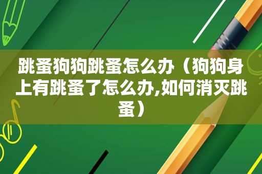 跳蚤狗狗跳蚤怎么办（狗狗身上有跳蚤了怎么办,如何消灭跳蚤）