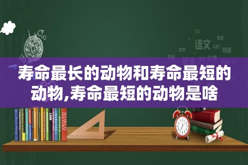 寿命最长的动物和寿命最短的动物,寿命最短的动物是啥