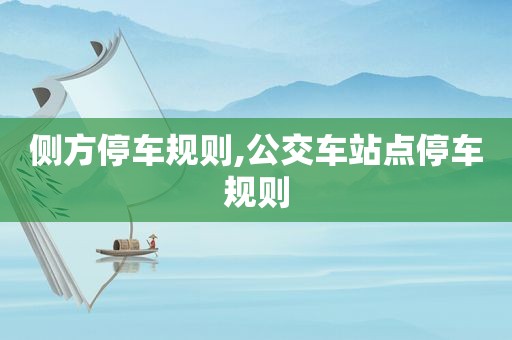 侧方停车规则,公交车站点停车规则