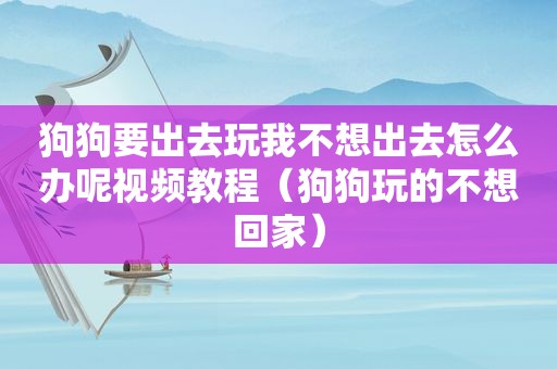 狗狗要出去玩我不想出去怎么办呢视频教程（狗狗玩的不想回家）