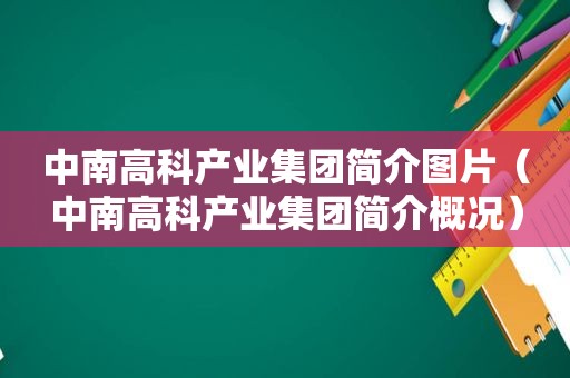 中南高科产业集团简介图片（中南高科产业集团简介概况）