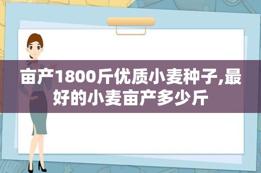 亩产1800斤优质小麦种子,最好的小麦亩产多少斤