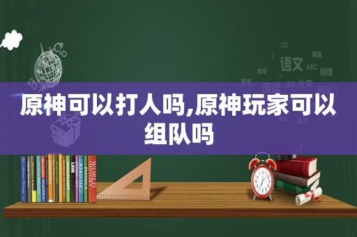 原神可以打人吗,原神玩家可以组队吗