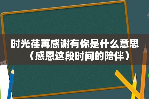 时光荏苒感谢有你是什么意思（感恩这段时间的陪伴）