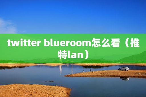 twitter blueroom怎么看（推特lan）  第1张