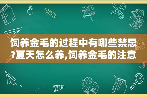 饲养金毛的过程中有哪些禁忌?夏天怎么养,饲养金毛的注意事项