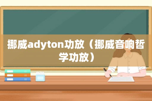 挪威adyton功放（挪威音响哲学功放）