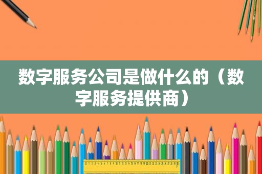 数字服务公司是做什么的（数字服务提供商）