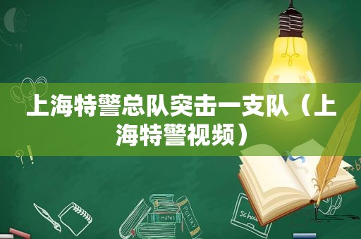 上海特警总队突击一支队（上海特警视频）  第1张