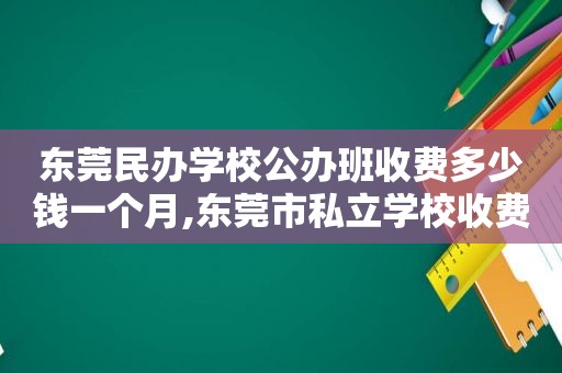 东莞民办学校公办班收费多少钱一个月,东莞市私立学校收费标准  第1张