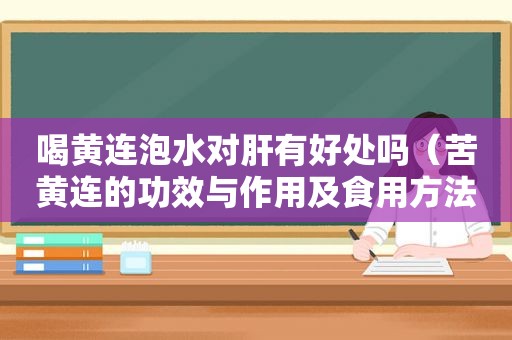 喝黄连泡水对肝有好处吗（苦黄连的功效与作用及食用方法）  第1张