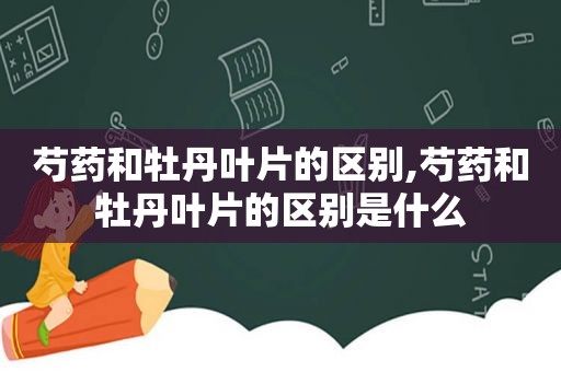 芍药和牡丹叶片的区别,芍药和牡丹叶片的区别是什么