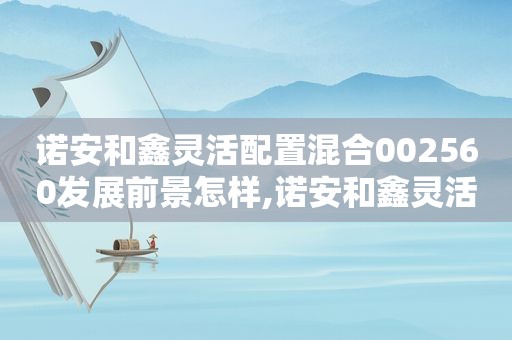 诺安和鑫灵活配置混合002560发展前景怎样,诺安和鑫灵活配置混合基金最新持仓