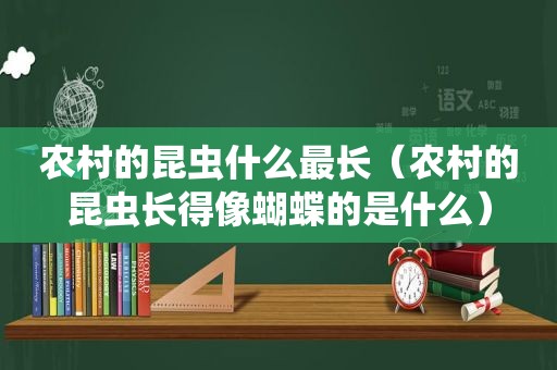 农村的昆虫什么最长（农村的昆虫长得像蝴蝶的是什么）