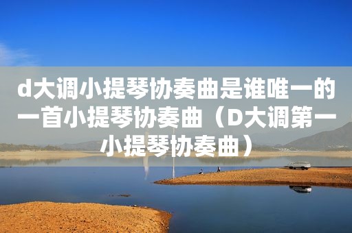 d大调小提琴协奏曲是谁唯一的一首小提琴协奏曲（D大调第一小提琴协奏曲）