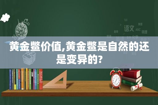 黄金鳖价值,黄金鳖是自然的还是变异的?