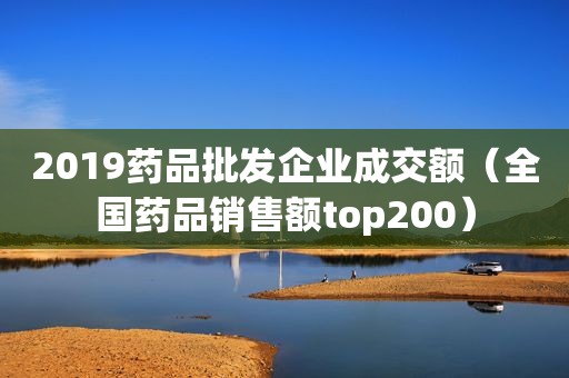 2019药品批发企业成交额（全国药品销售额top200）