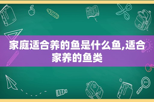 家庭适合养的鱼是什么鱼,适合家养的鱼类