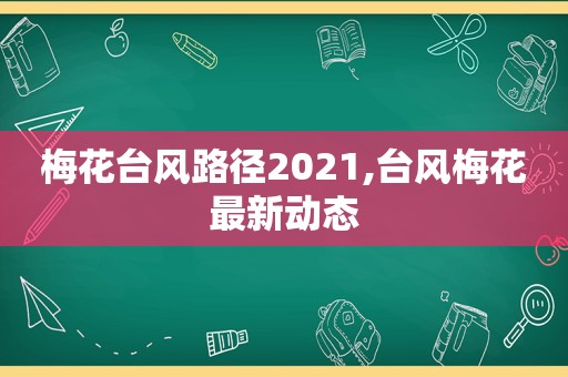 梅花台风路径2021,台风梅花最新动态  第1张