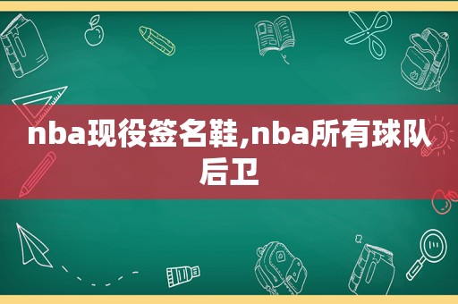 nba现役签名鞋,nba所有球队后卫