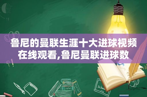 鲁尼的曼联生涯十大进球视频在线观看,鲁尼曼联进球数  第1张