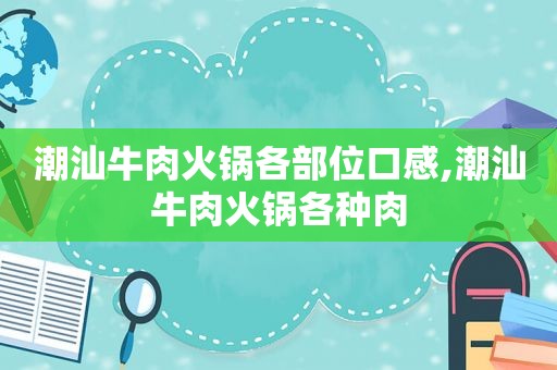 潮汕牛肉火锅各部位口感,潮汕牛肉火锅各种肉