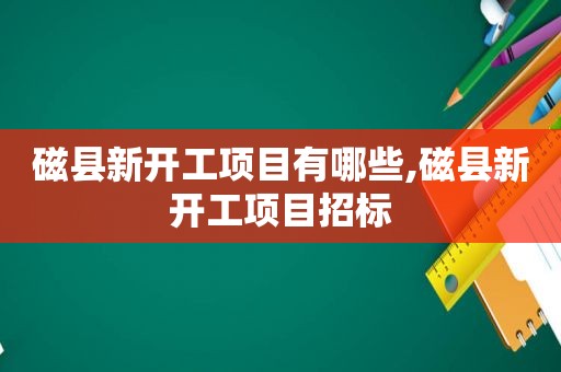 磁县新开工项目有哪些,磁县新开工项目招标  第1张