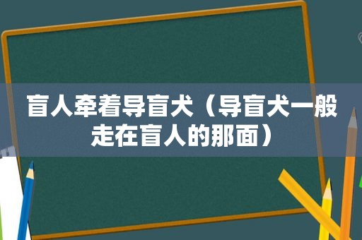 盲人牵着导盲犬（导盲犬一般走在盲人的那面）