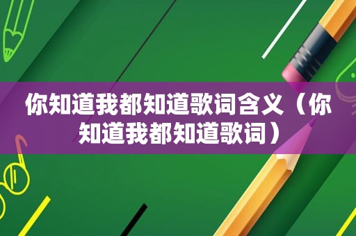 你知道我都知道歌词含义（你知道我都知道歌词）