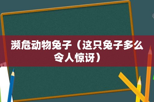 濒危动物兔子（这只兔子多么令人惊讶）