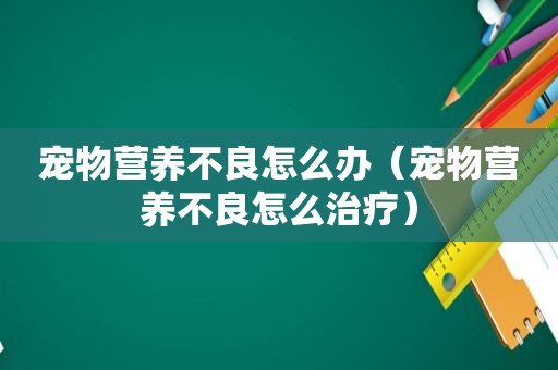 宠物营养不良怎么办（宠物营养不良怎么治疗）