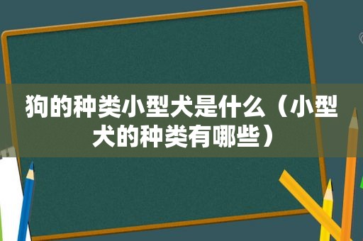 狗的种类小型犬是什么（小型犬的种类有哪些）