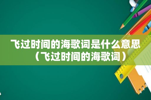 飞过时间的海歌词是什么意思（飞过时间的海歌词）