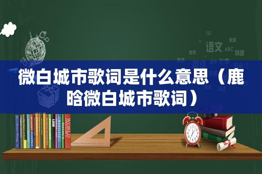 微白城市歌词是什么意思（鹿晗微白城市歌词）