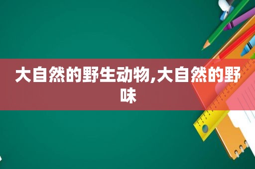 大自然的野生动物,大自然的野味