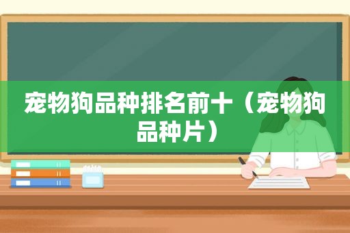 宠物狗品种排名前十（宠物狗品种片）