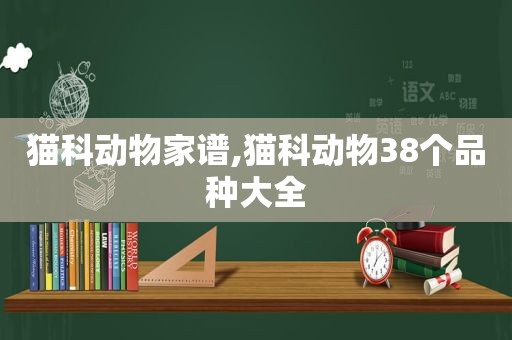 猫科动物家谱,猫科动物38个品种大全