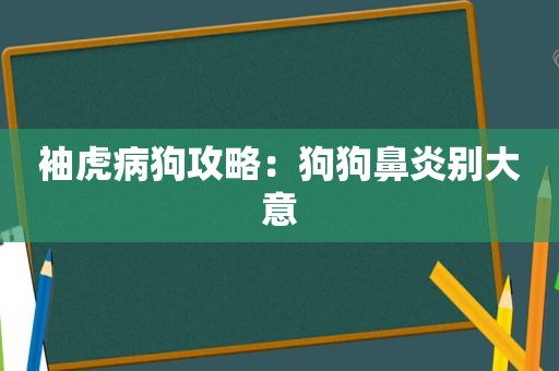 袖虎病狗攻略：狗狗鼻炎别大意