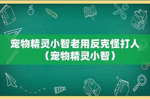 宠物精灵小智老用反克怪打人（宠物精灵小智）