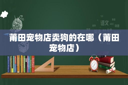 莆田宠物店卖狗的在哪（莆田宠物店）