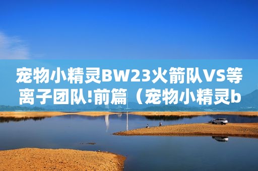 宠物小精灵BW23火箭队VS等离子团队!前篇（宠物小精灵bw）