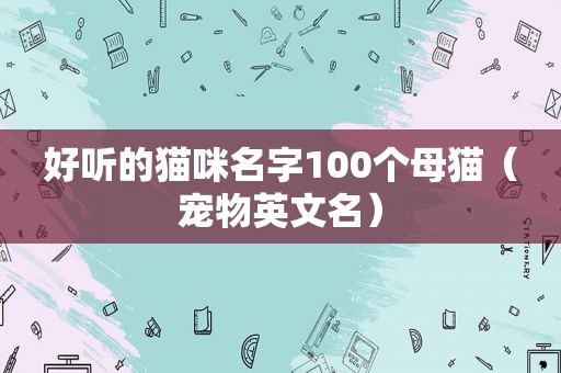 好听的猫咪名字100个母猫（宠物英文名）