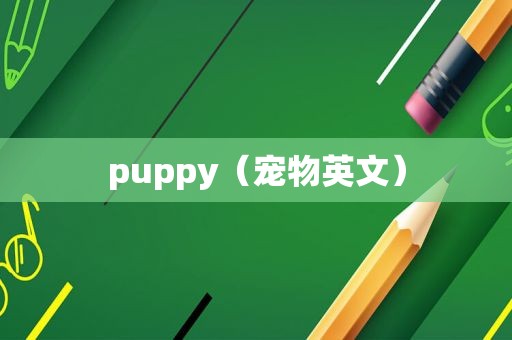 puppy（宠物英文）