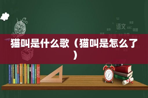 猫叫是什么歌（猫叫是怎么了）